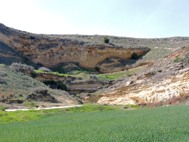  Agios Sozomenos 7th February 2014 (c) Cyprus Birding Tours