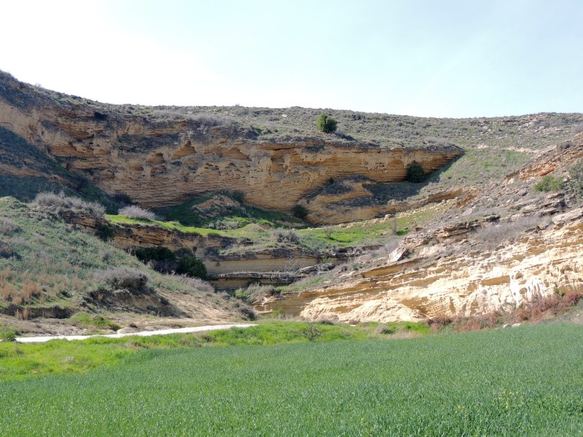  Agios Sozomenos 7th February 2014 (c) Cyprus Birding Tours