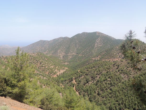  View outside Kampos 4th May 2014 (c) Cyprus Birding Tours