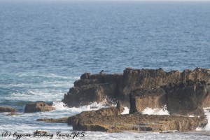 mandria-16th-september-2016-1-of-1